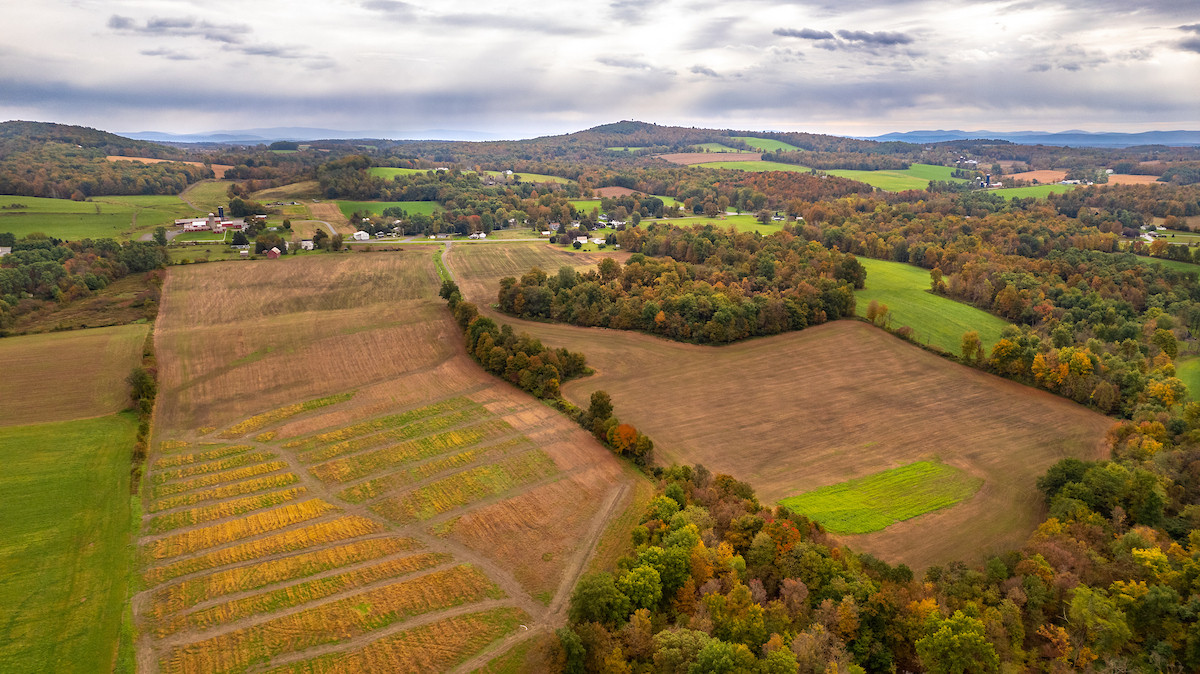 Julian Mangano Joins American Farmland Trust as New York Policy Manager