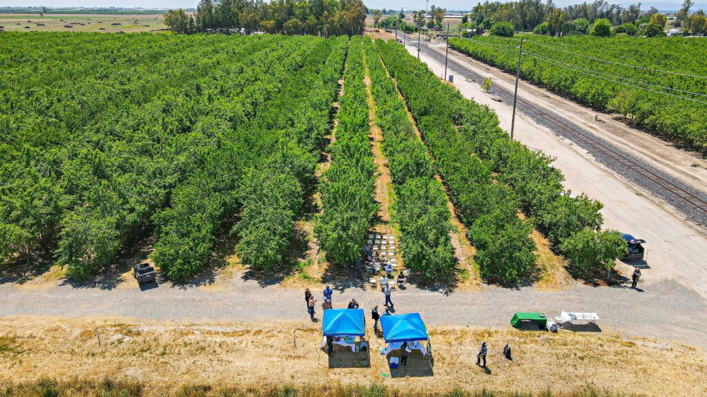 San Joaquin Valley Farmers Get Support at Cover Crops for California Orchards Workshop